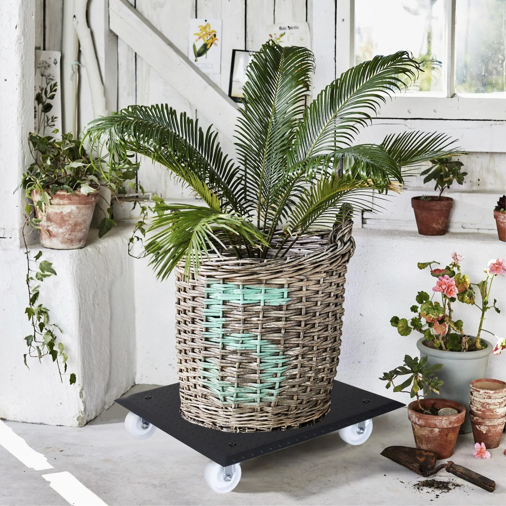 Multi Roller MR 1391, 45 x 45 x 9,5 cm, harte Rollen Ø 75 mm, Rollenlager, Aluminium Noppenblech, Tragkraft 150 kg - 1