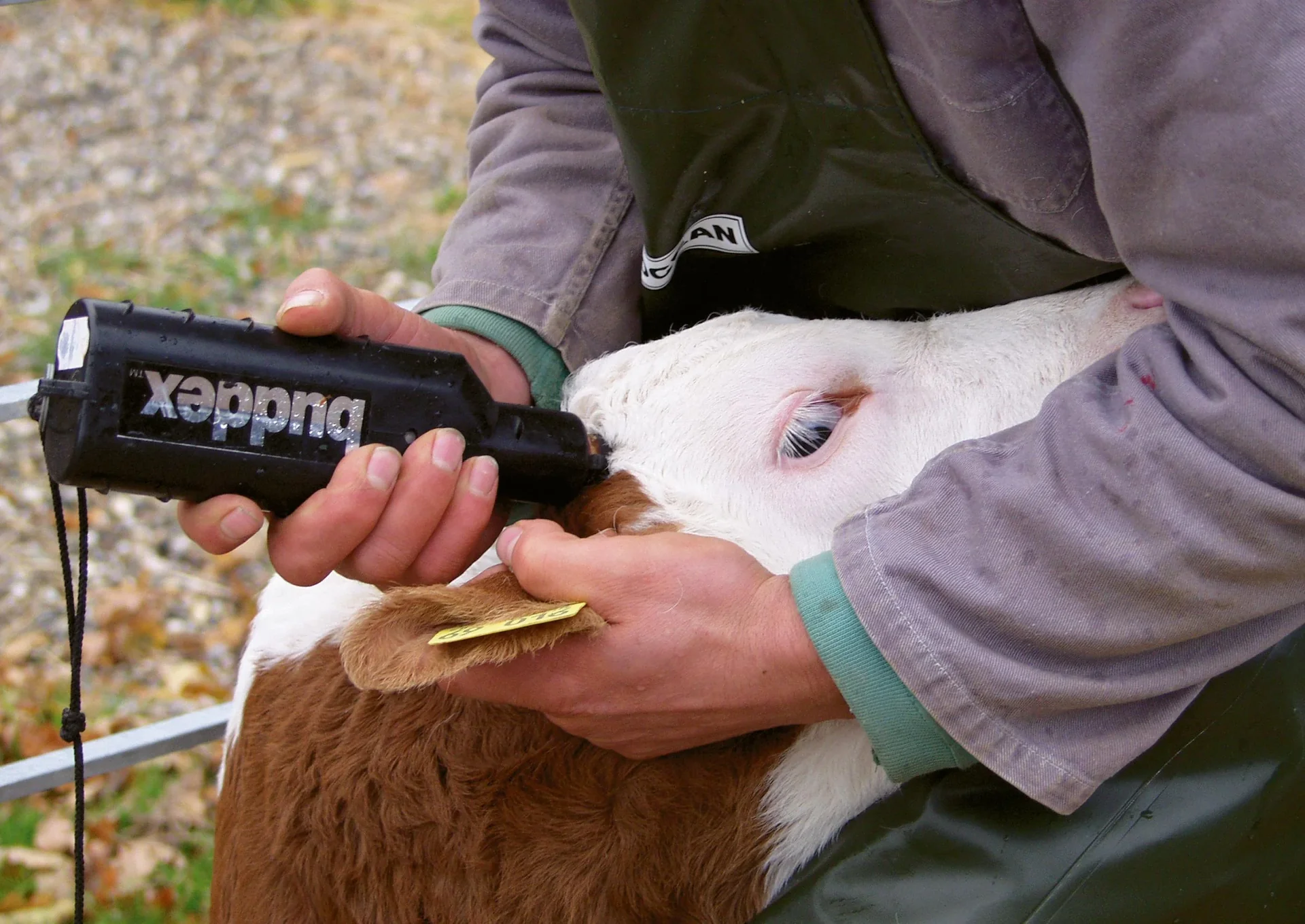 Akku Enthorner "Buddex" - 0