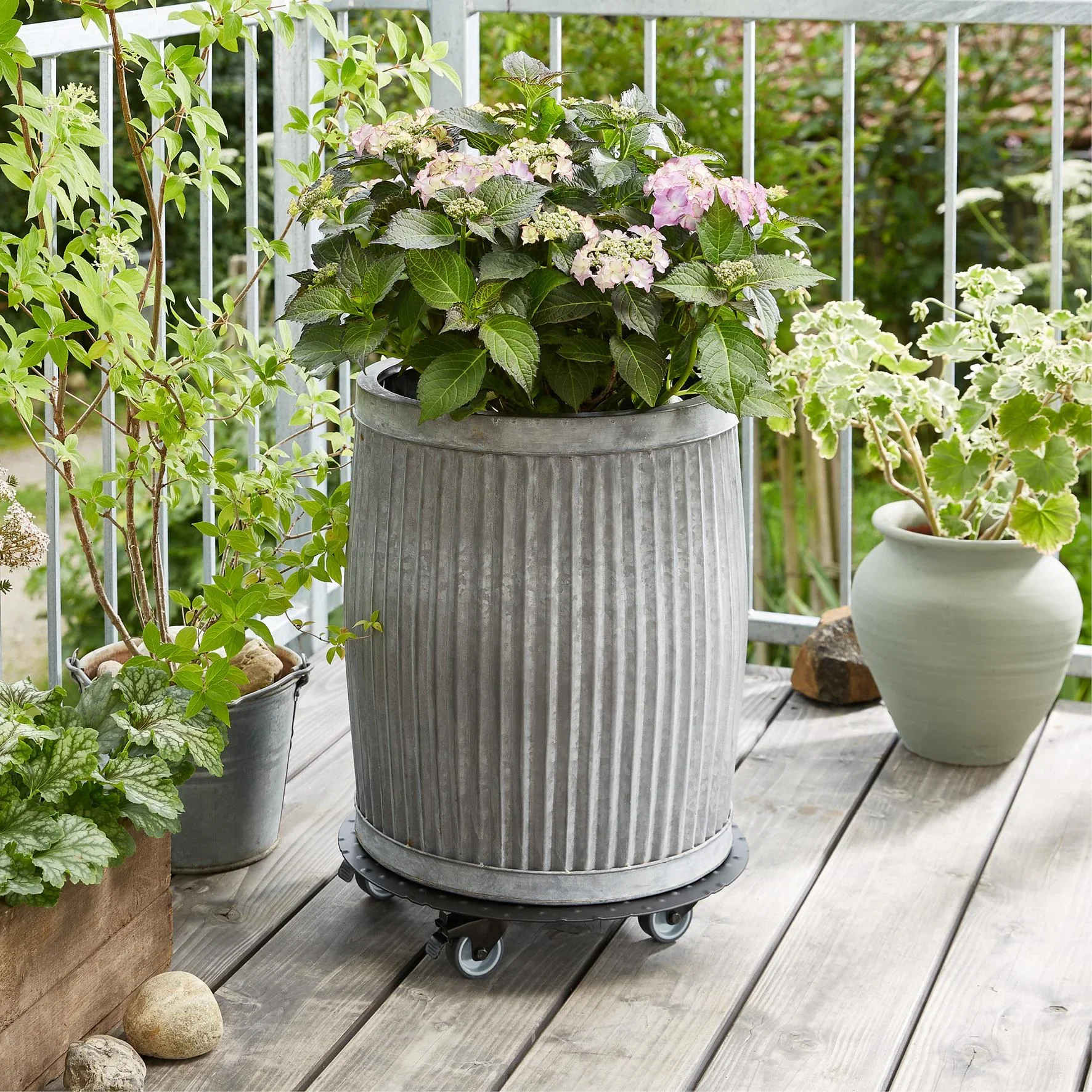 Multi Roller MR 7006, Ø 38 x 7,5 cm, softe Rollen Ø 50 mm, Gleitlager, 2 Bremsen, Alu Riffelblech, Tragkraft 150 kg - 0