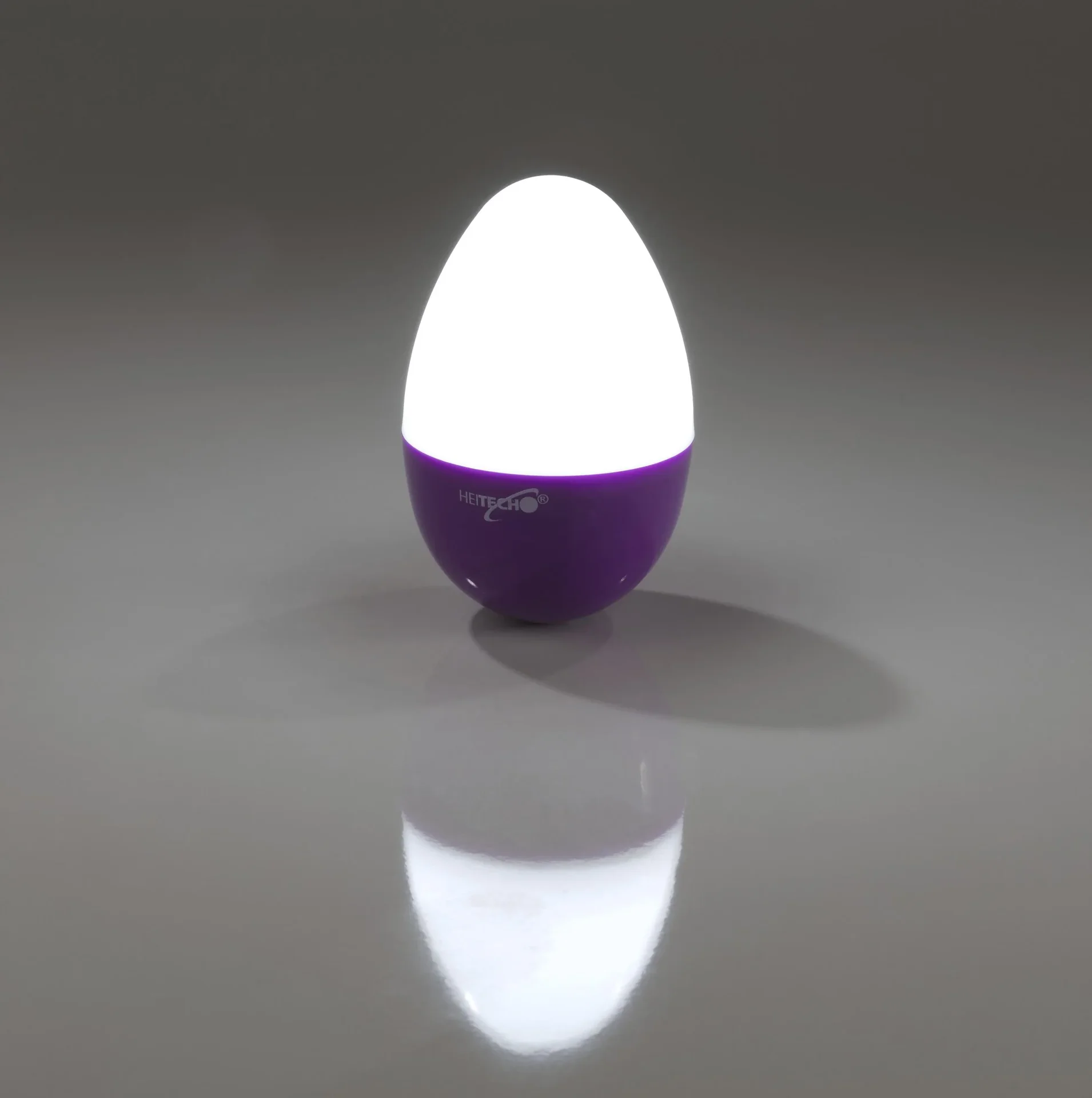 LED Dekolicht in Eiform - 1