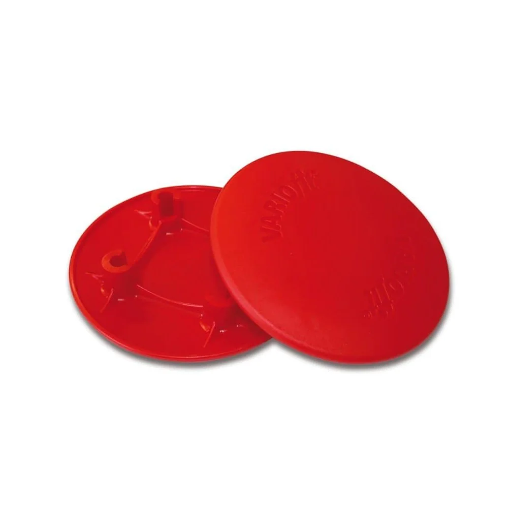 Plattenkarre zum Längstransport mit Luftbereifung-1