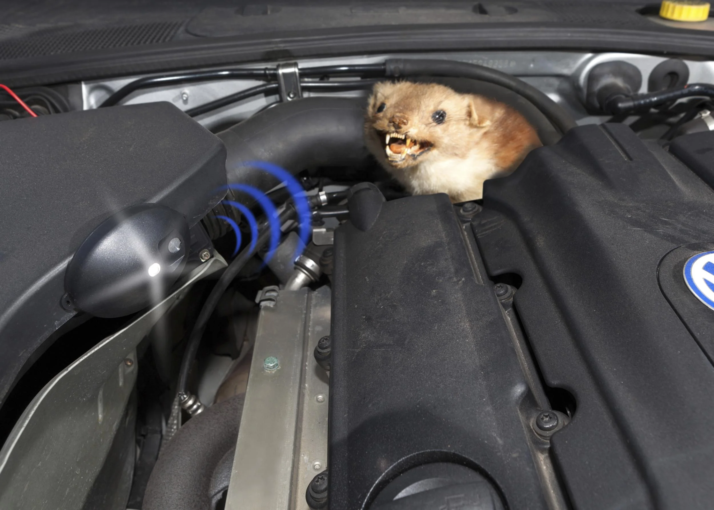 KFZ Marder Frei/LED Blitzlicht 12 Volt - 0