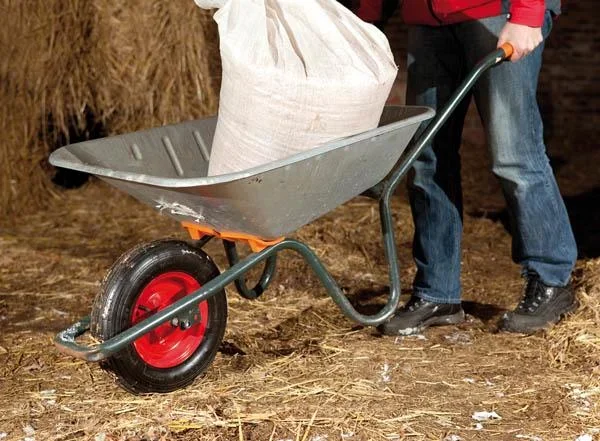 Schubkarrenrad mit Achse, Bohrung 20 mm, Gewinde 12 mm, 1 Stück - 2