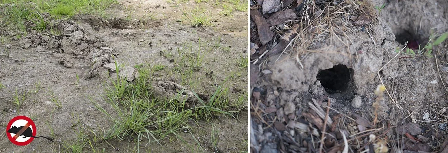 Solar Maulwurfabwehr Alu, 1 Stück - 7