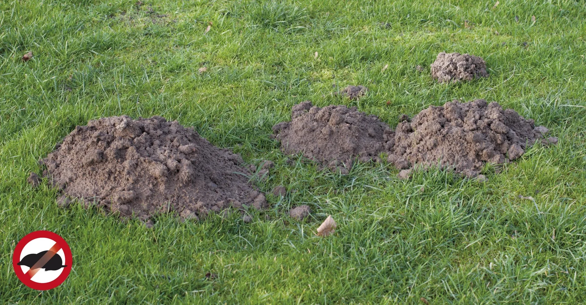 Solar Maulwurfabwehr Alu, 1 Stück - 8