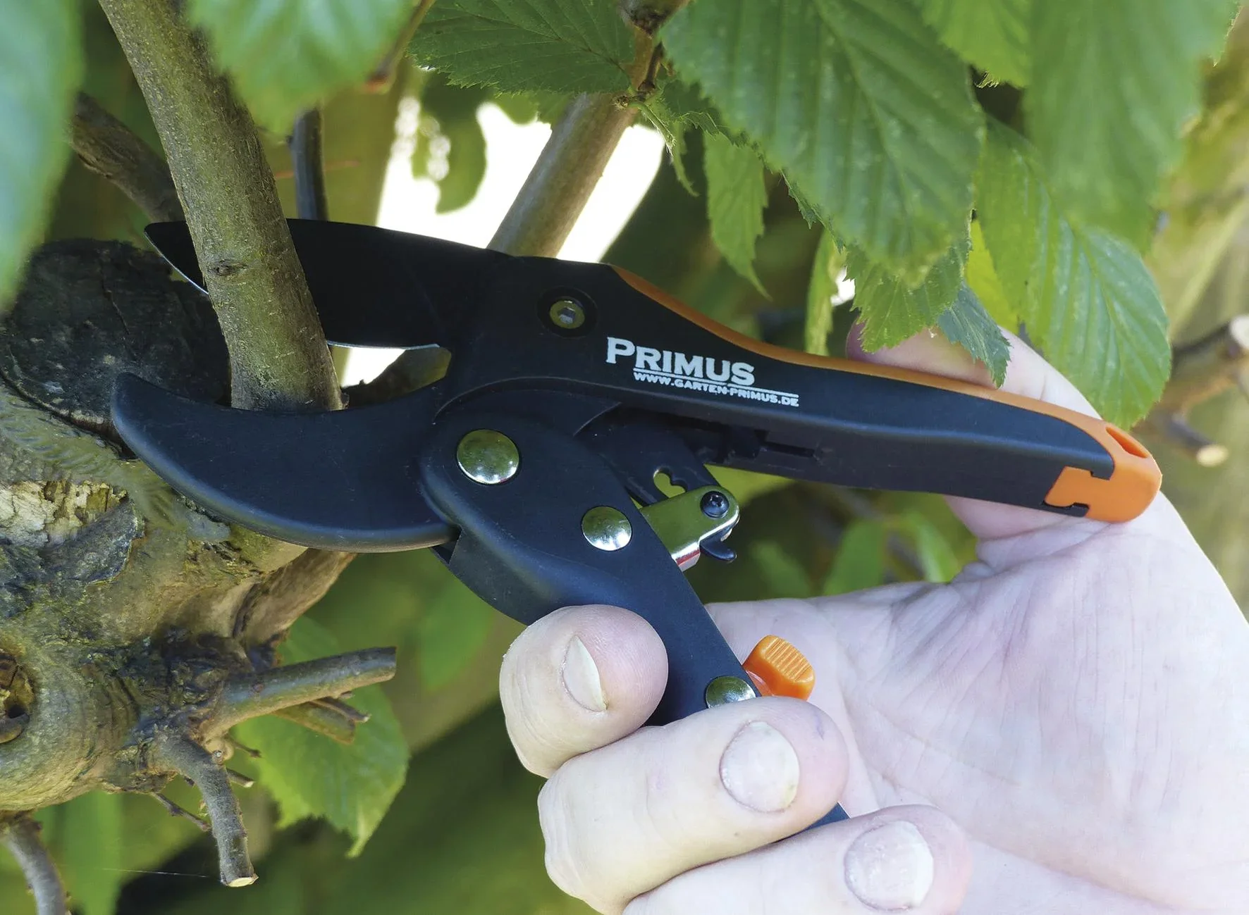 Damen-Ratschenschere - 0