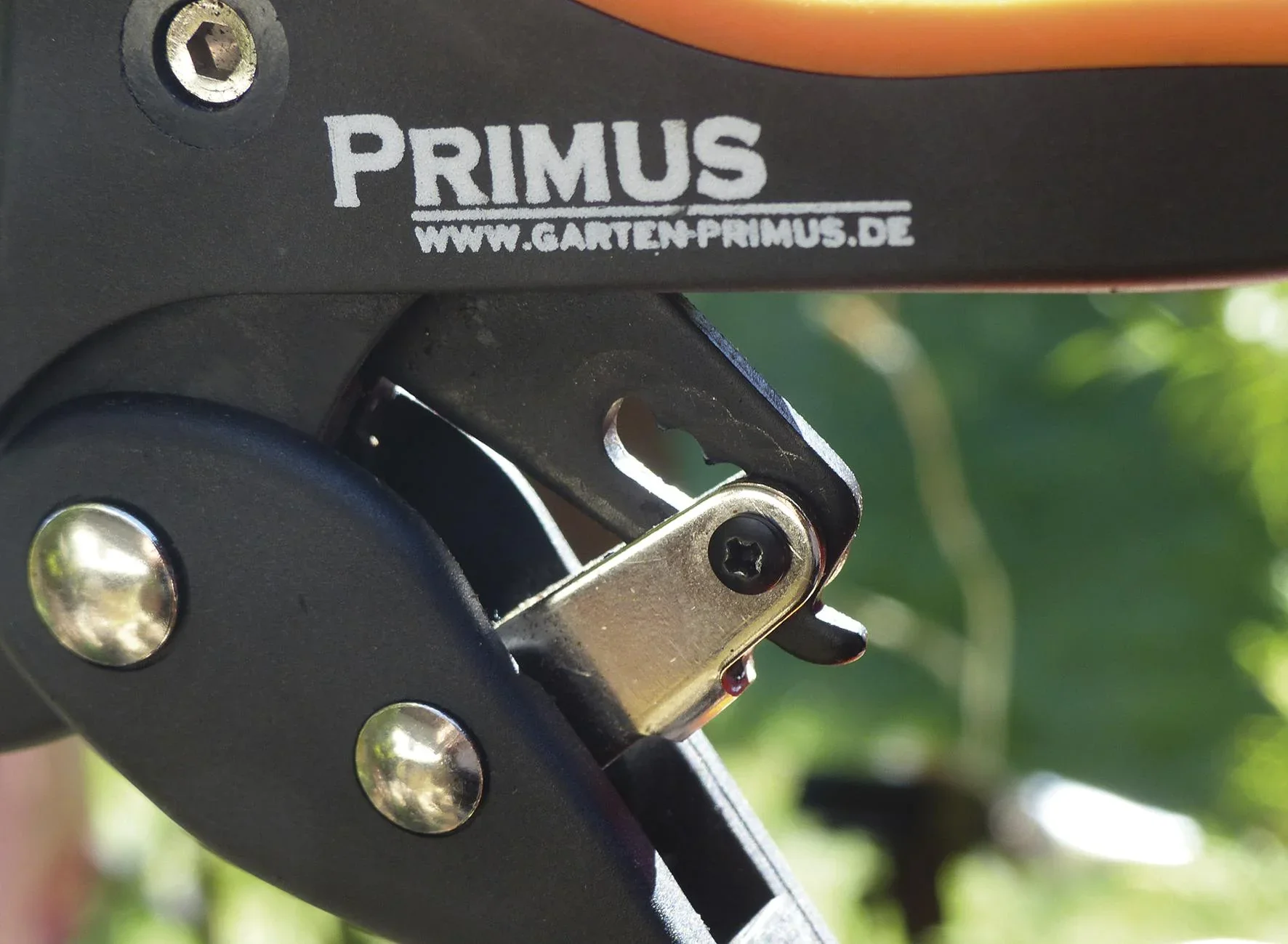 Damen-Ratschenschere - 1