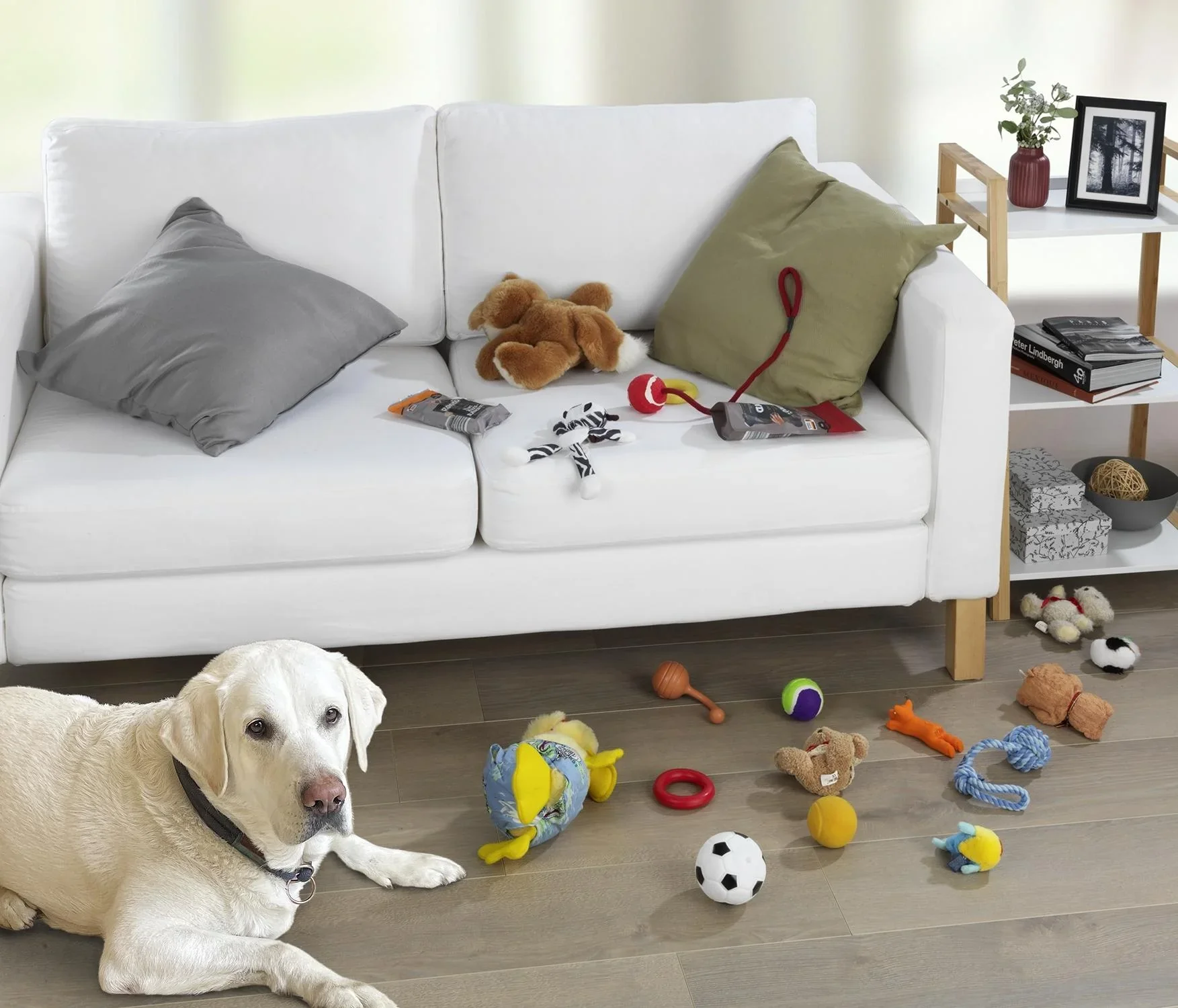 Haustier, Filz-Organizer, 29 x 19 cm - 2