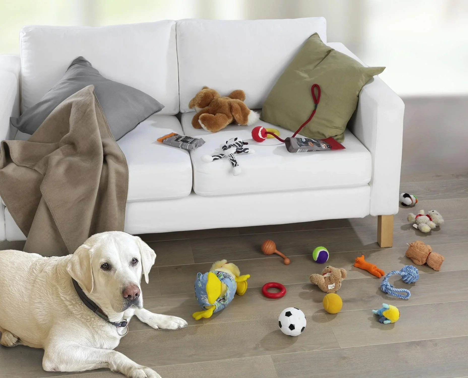 Haustier, Filz-Organizer, 29 x 19 cm - 7