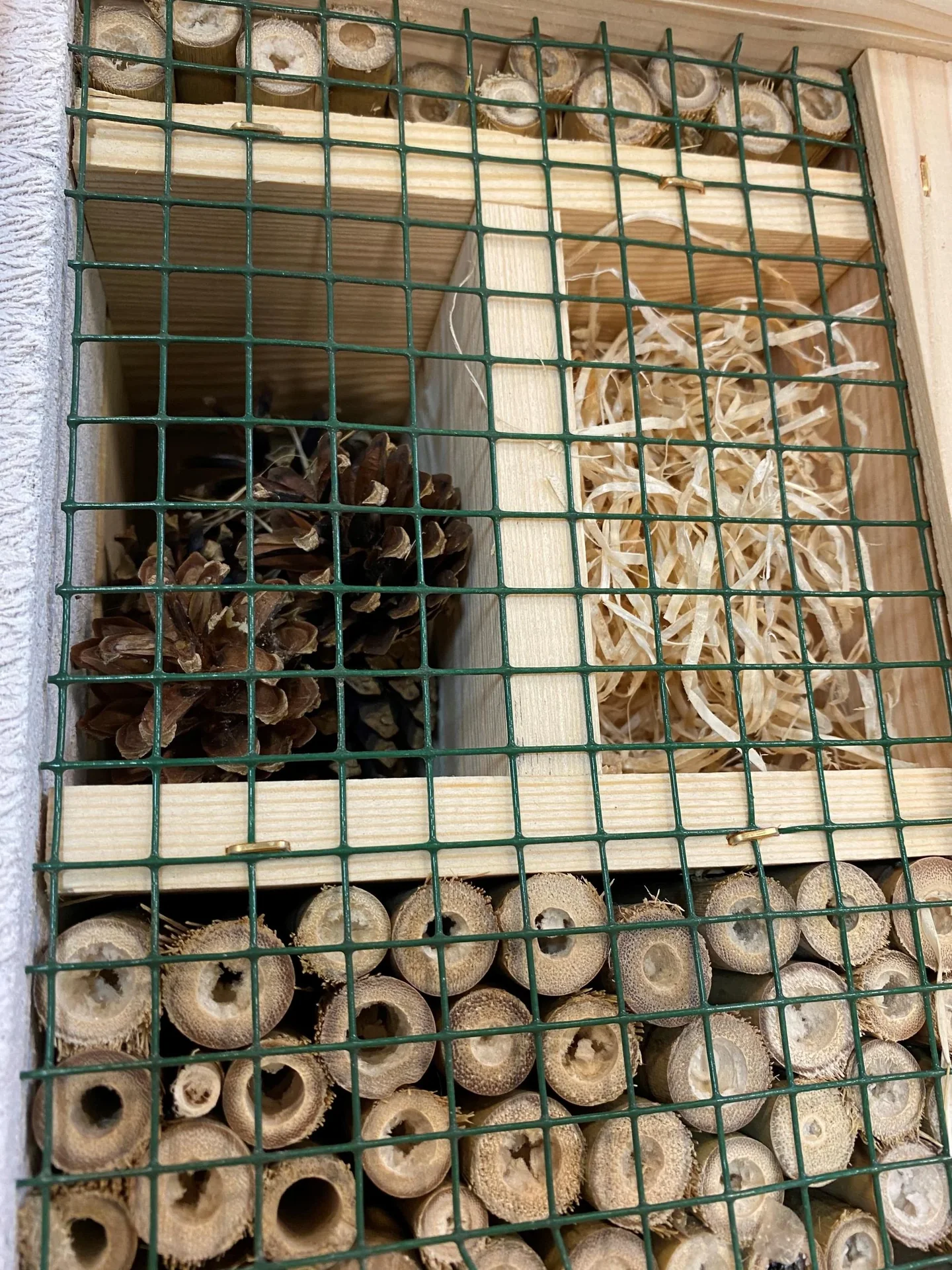 Insektenhotel "Kempten" - 2