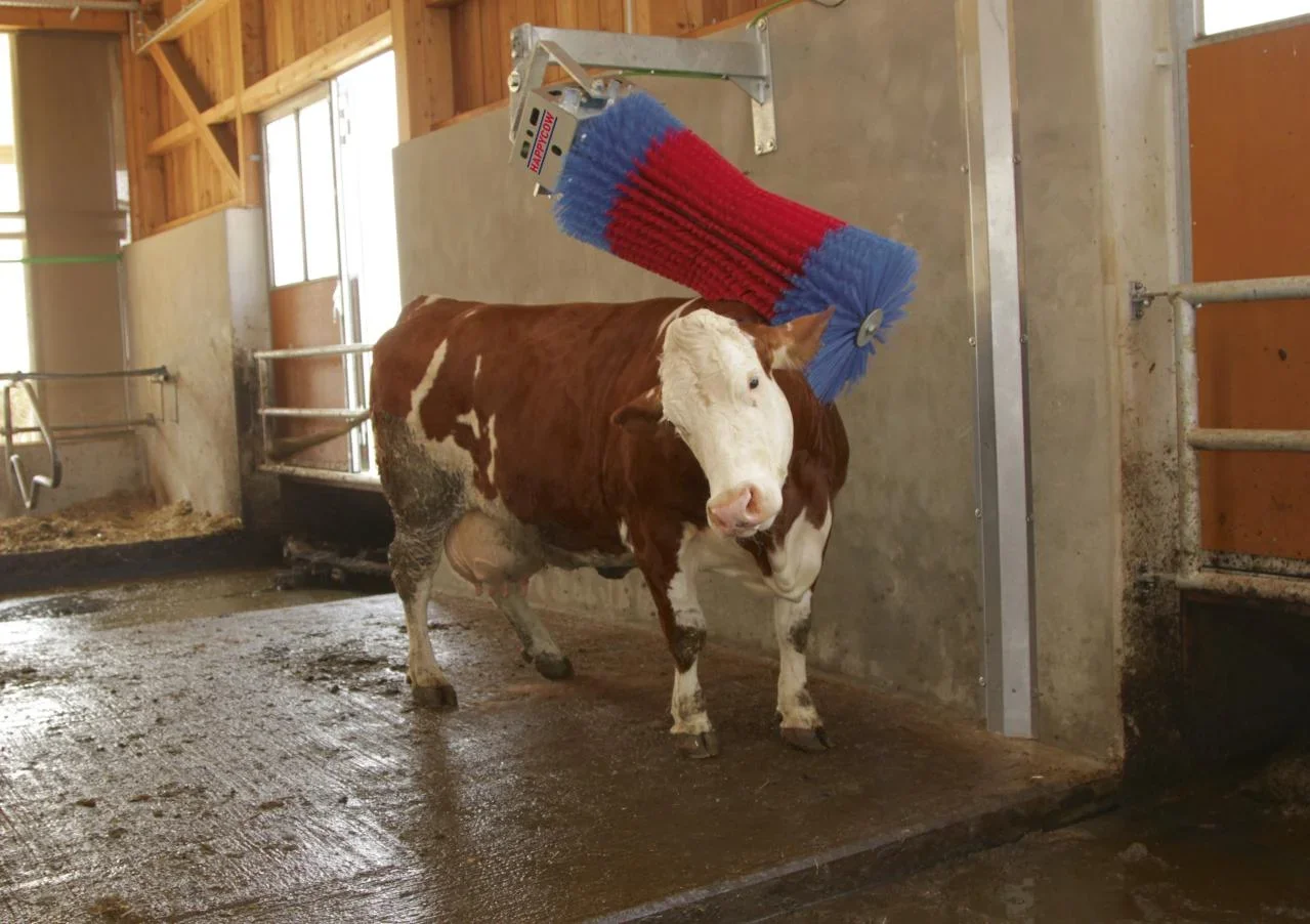 Kuhputzmaschine HappyCow Maxi Swing - 0