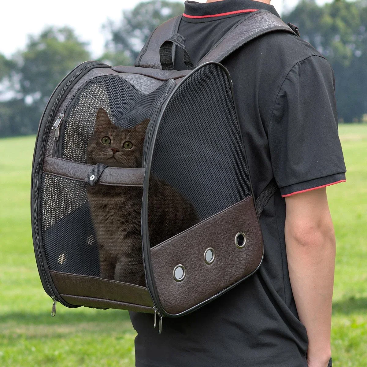 Hunderucksack Katzenrucksack klappbar mit atmungsaktivem Netzgewebe Outdoor Faltbarer Raum Katzen Hunde Tragetasche Max. - 3