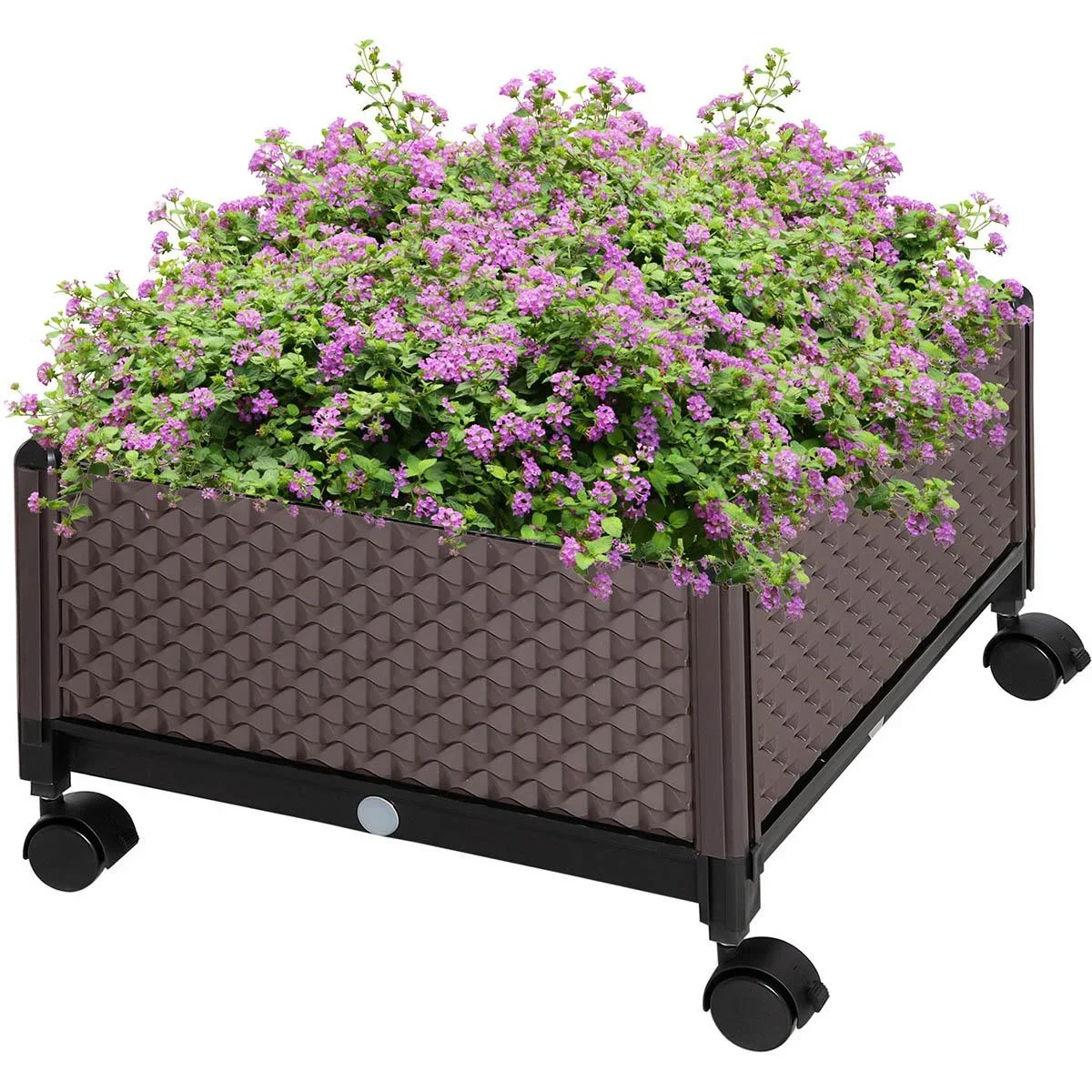 Hochbeet auf Rädern - mit Drainagelöchern - 50 x 50 x 33 cm - 3