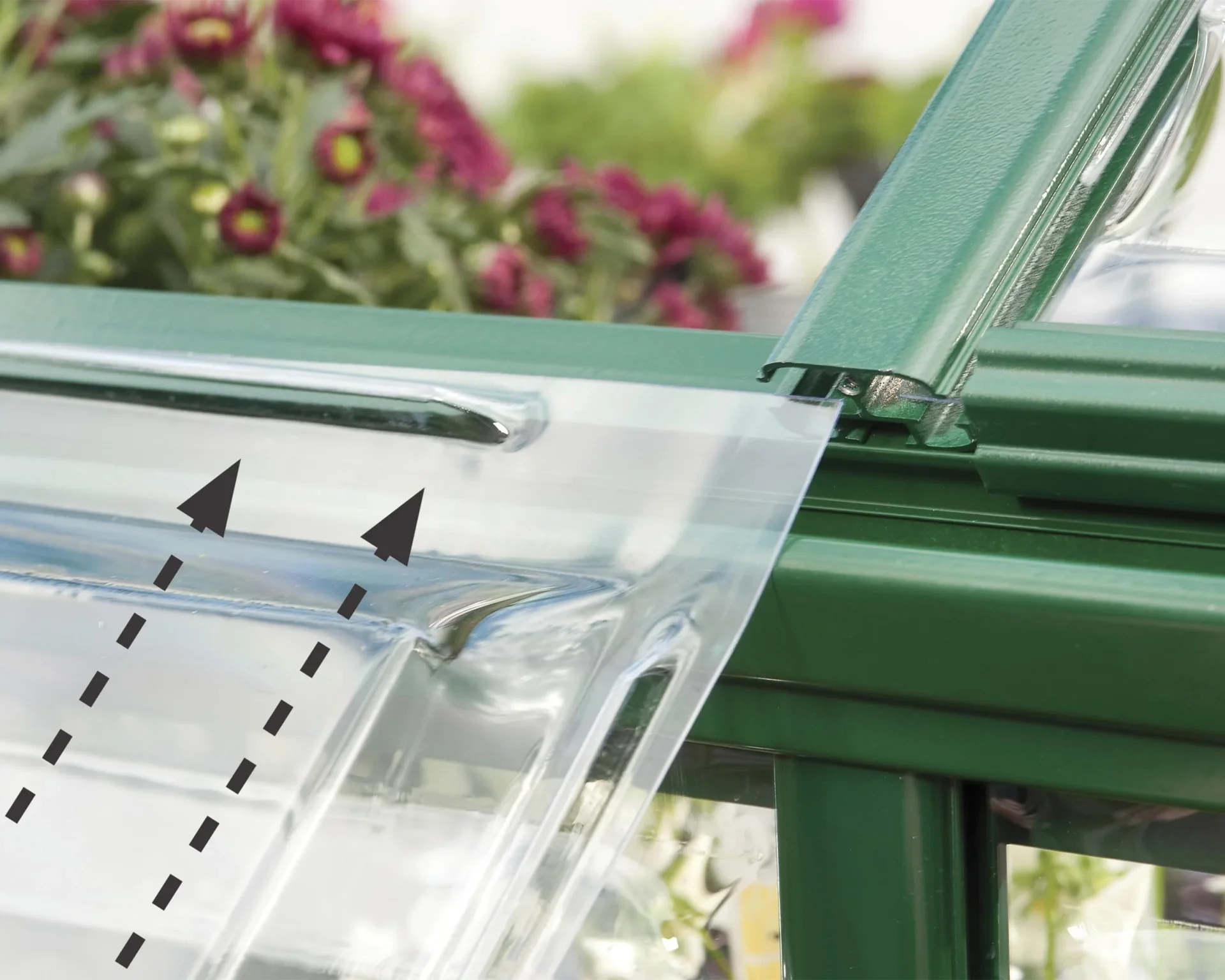 Gewächshaus "Harmony" - 6x6, grün - 3