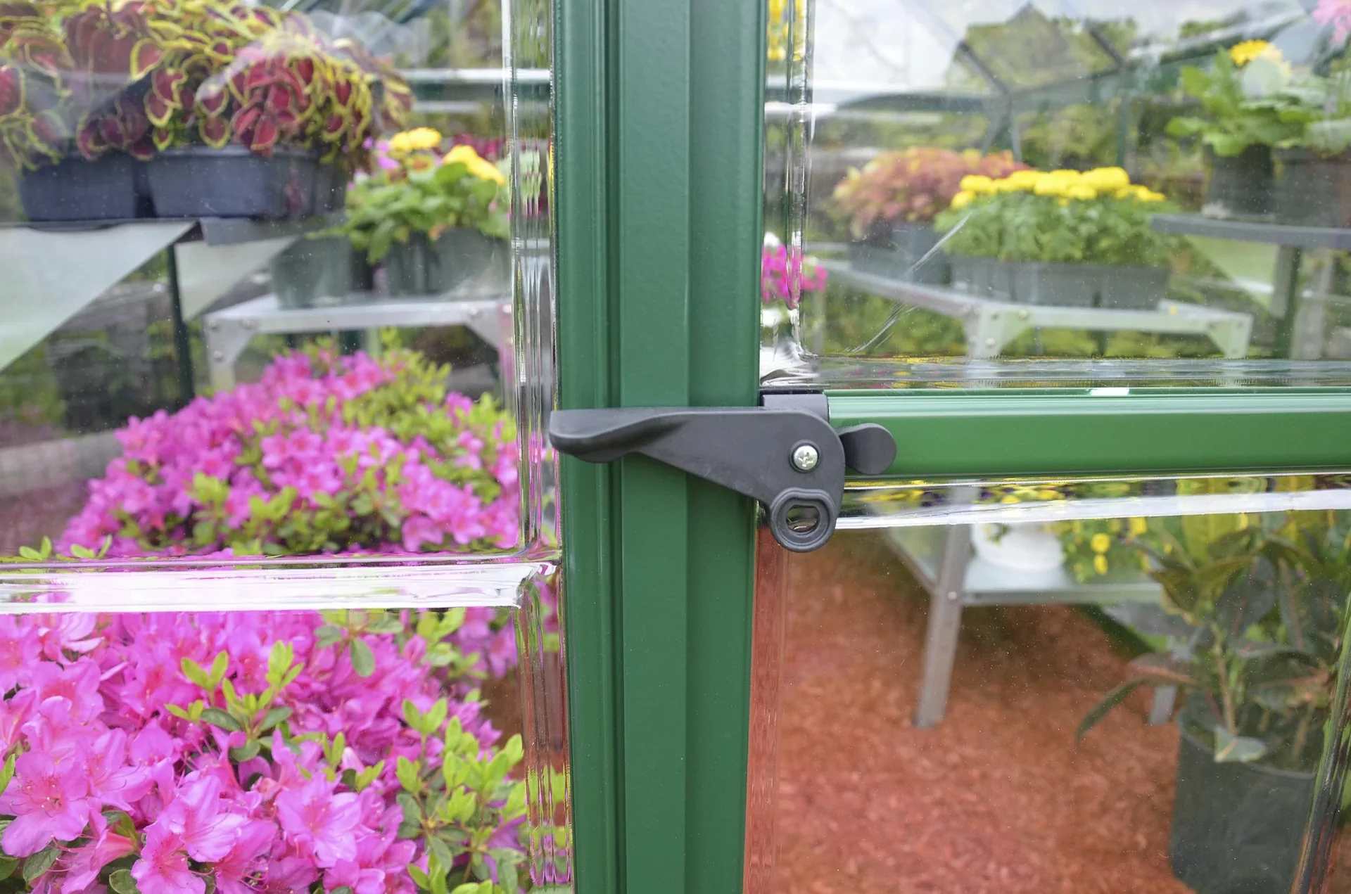 Gewächshaus "Harmony" - 6x6, grün - 4