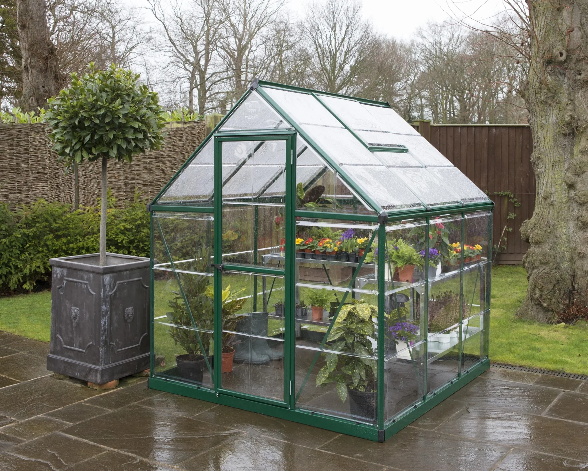 Gewächshaus "Harmony" - 6x6, grün - 7