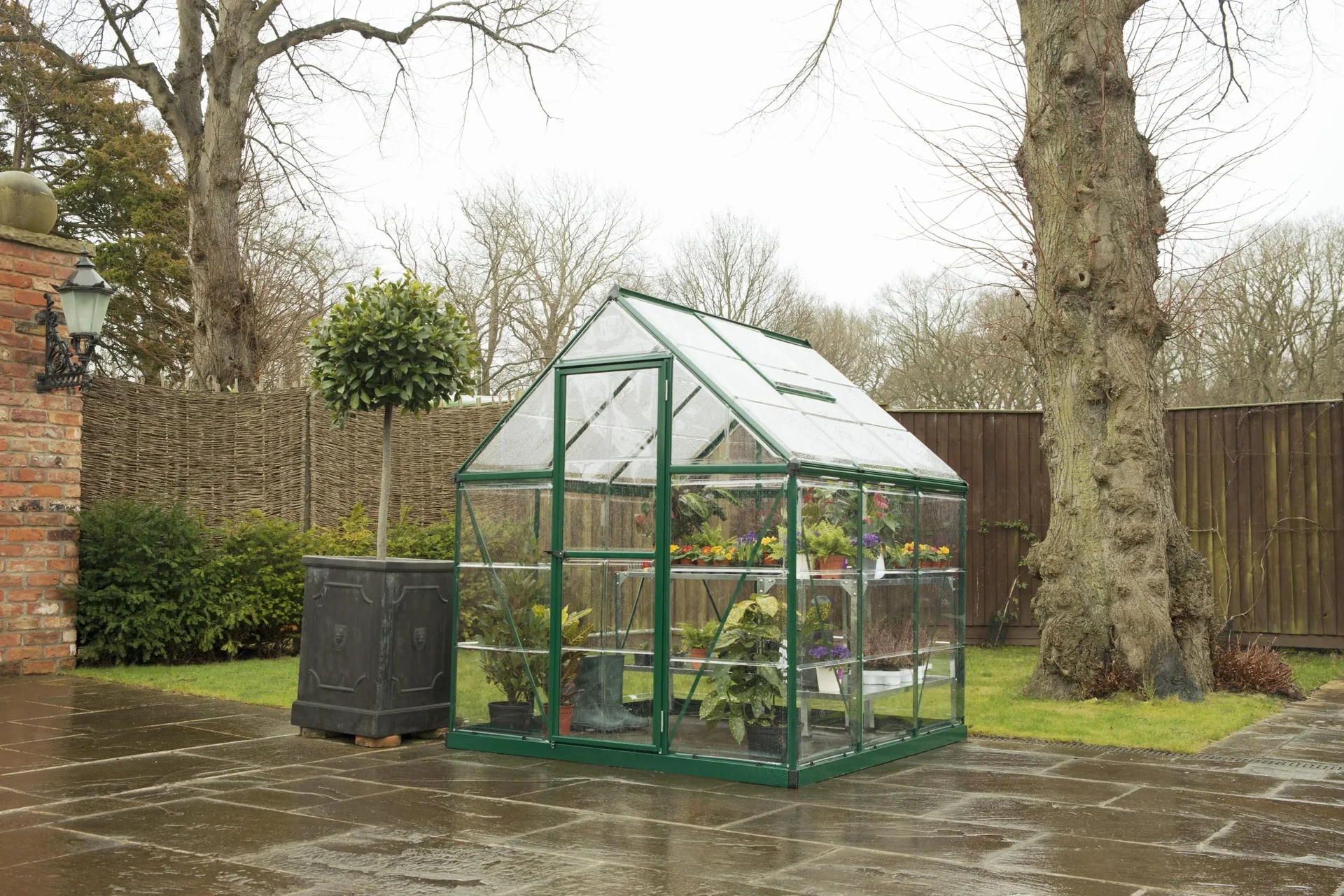Gewächshaus "Harmony" - 6x6, grün - 8