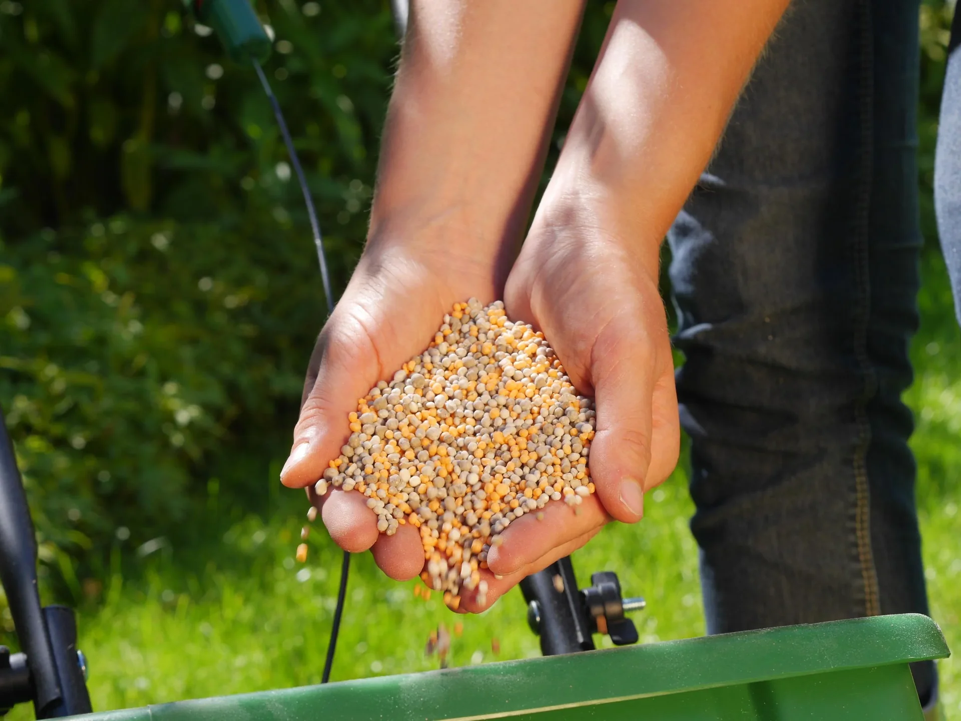Rasendünger mit Unkrautvernichter 800 g - 0