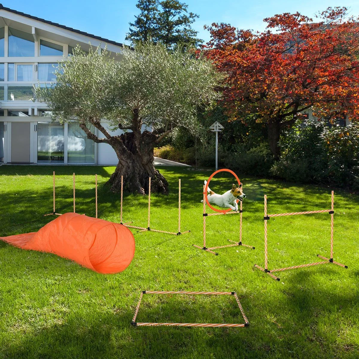 Hunde Agility Set Hundetrainigsset mit Hundetunnel Training für Haustiere Inklusive Tasche Leicht zu tragen Kunststoff P - 1