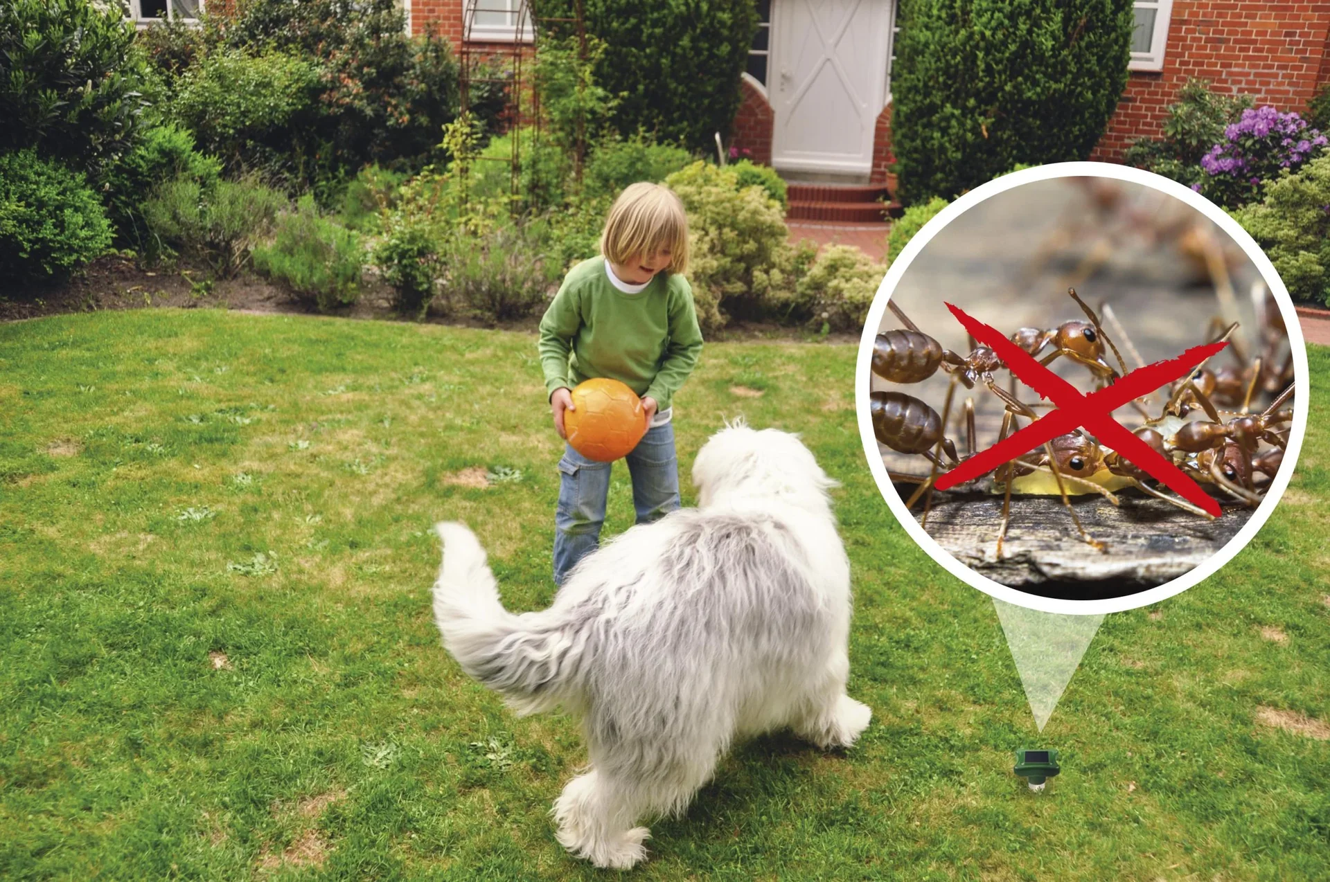 Solar-Ameisenabwehr - 0