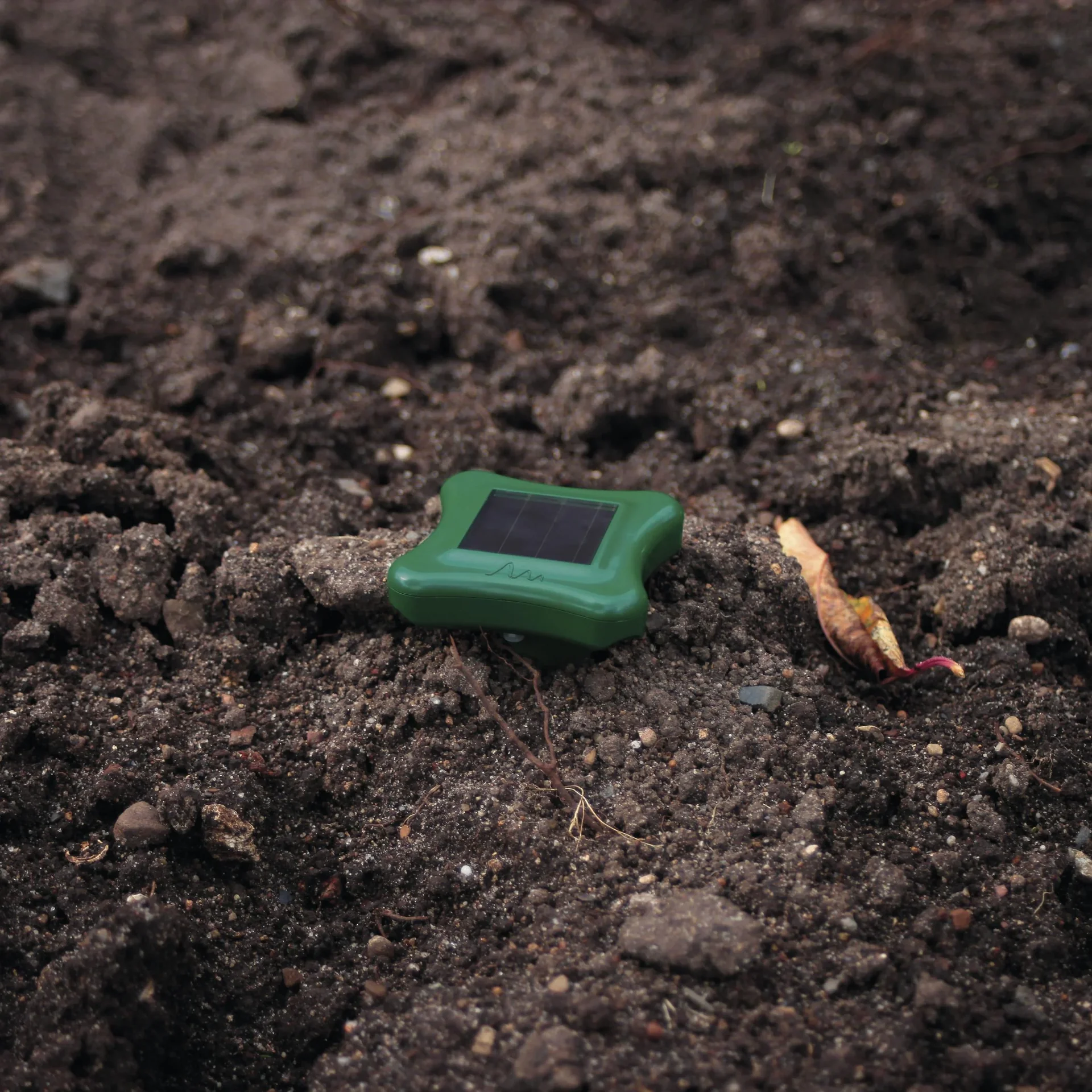 Solar-Ameisenabwehr - 3