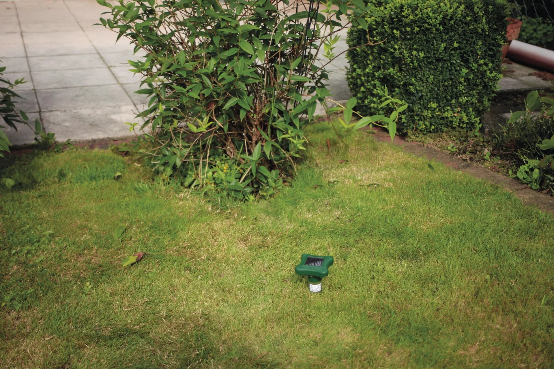 Solar-Ameisenabwehr - 6