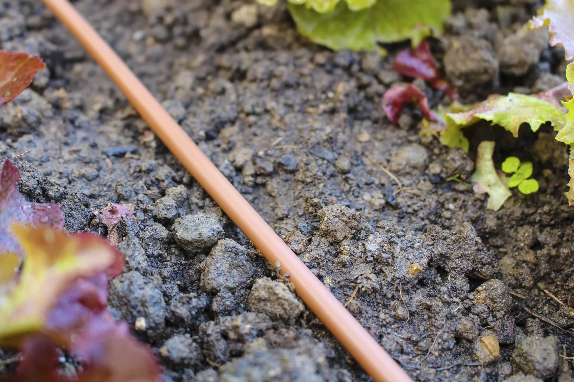 Tropfschlauch (DP30) - 0