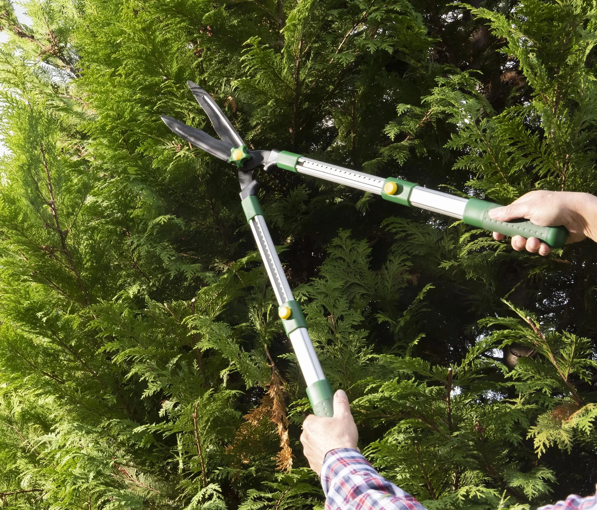 Teleskop-Heckenschere, 63-81 cm - 0