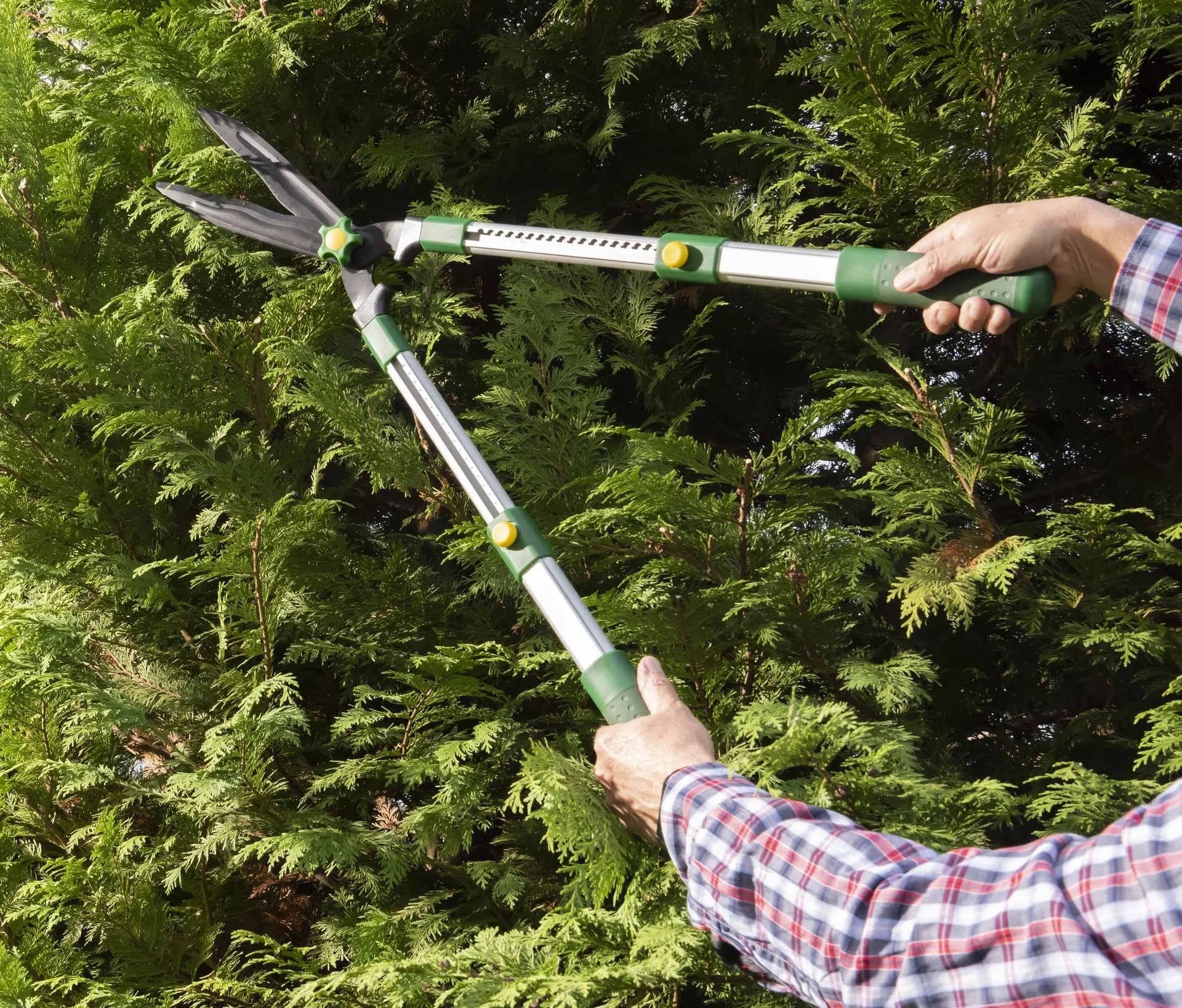 Teleskop-Heckenschere, 63-81 cm - 5