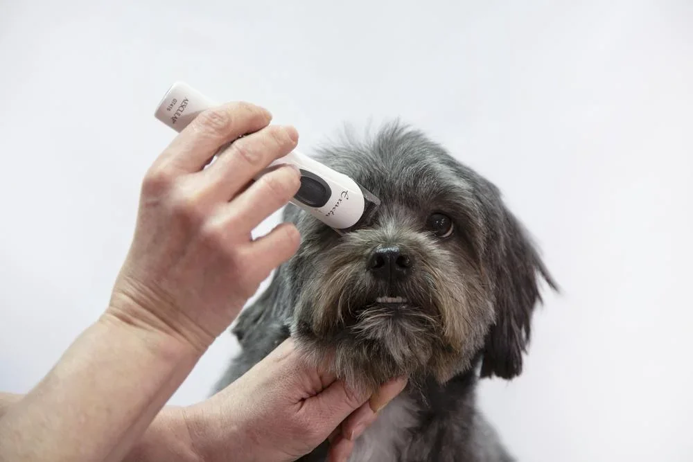 Akku-Schermaschine Exacta - 2