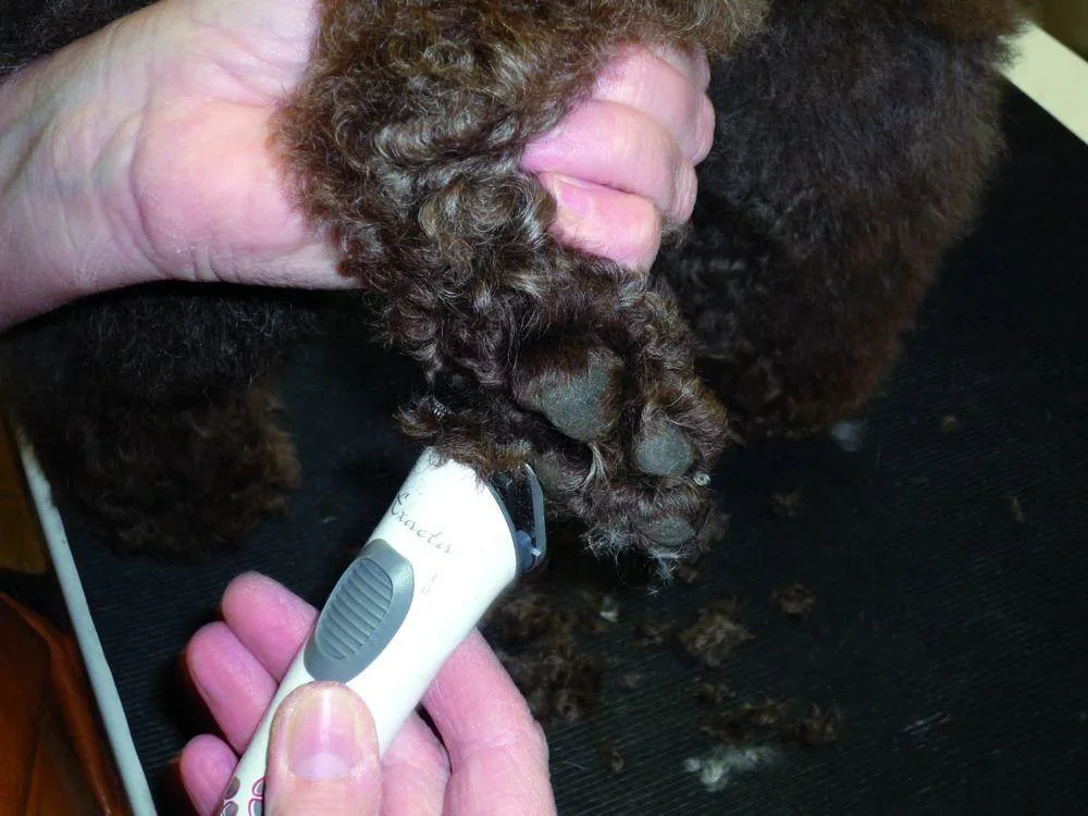 Akku-Schermaschine Exacta - 3