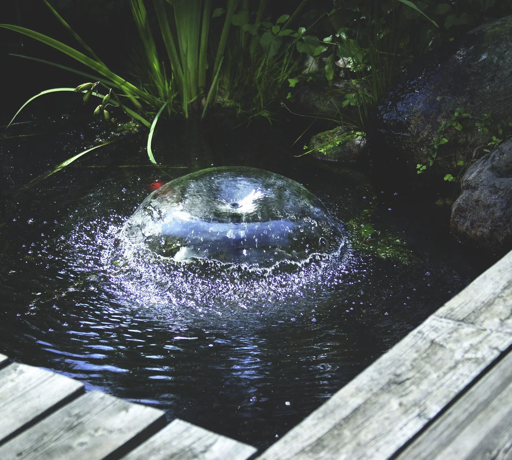 Wasserpumpe "Siena" mit Trockenlaufschutz, Sprinklerdüsen, Steigrohren, 1500 l/h - 0