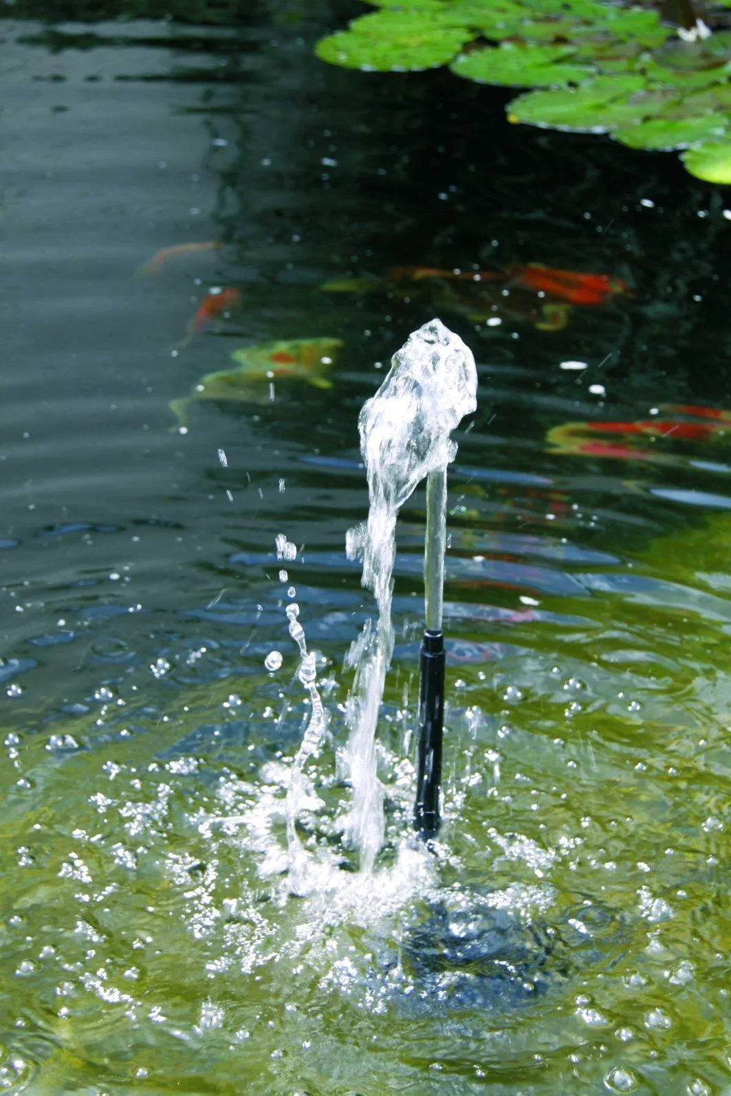 Wasserpumpe "Siena" mit Trockenlaufschutz, Sprinklerdüsen, Steigrohren, 1500 l/h - 2