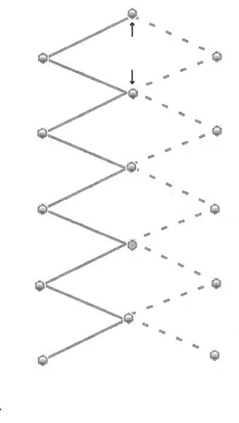 Kletterhilfe + Rankhilfe für die Anzucht und Aufzucht von Pflanzen - 0
