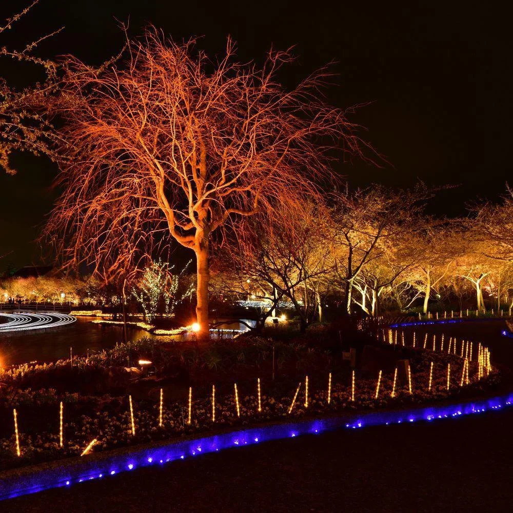 VT-4021 20W Strahler mit rotem Licht - IP65 - Atmosphärische Beleuchtung - 2