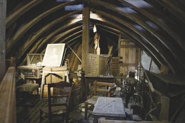 Anti-Marder-Spray 500 ml - 2