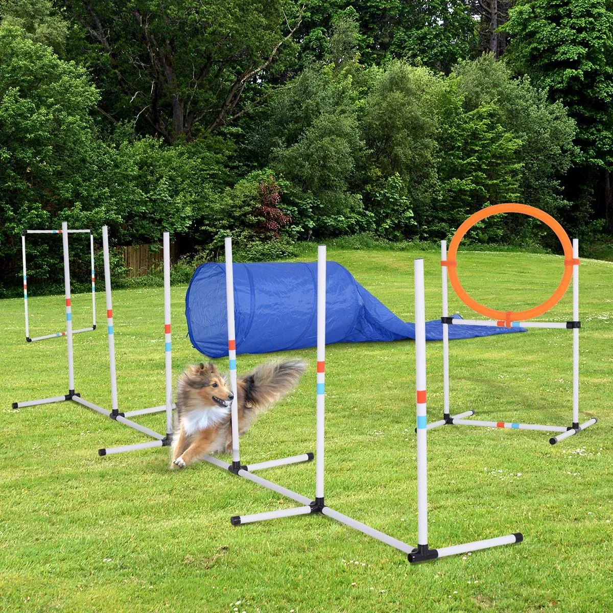 5-tlg. Hunde Agility Set Training für Haustiere Hundetrainigsset mit Hundetunnel Inklusive Tasche Leicht zu tragen Polye - 1