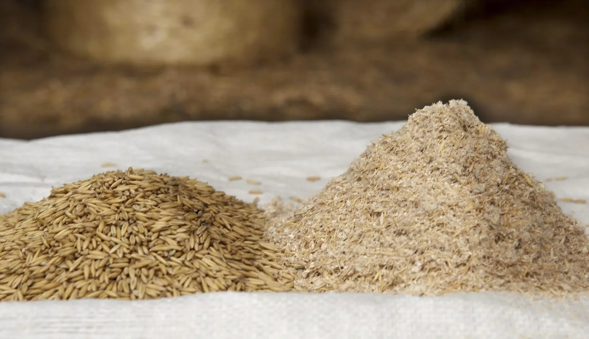 Elektrische Getreidemühle, 600 W, auch für Hülsenfrüchte - 4