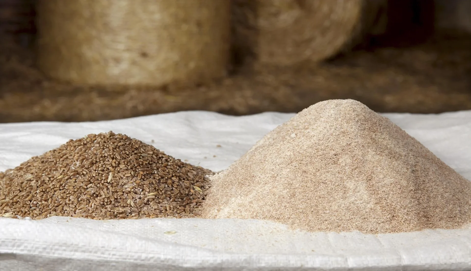 Elektrische Getreidemühle, 600 W, auch für Hülsenfrüchte - 6