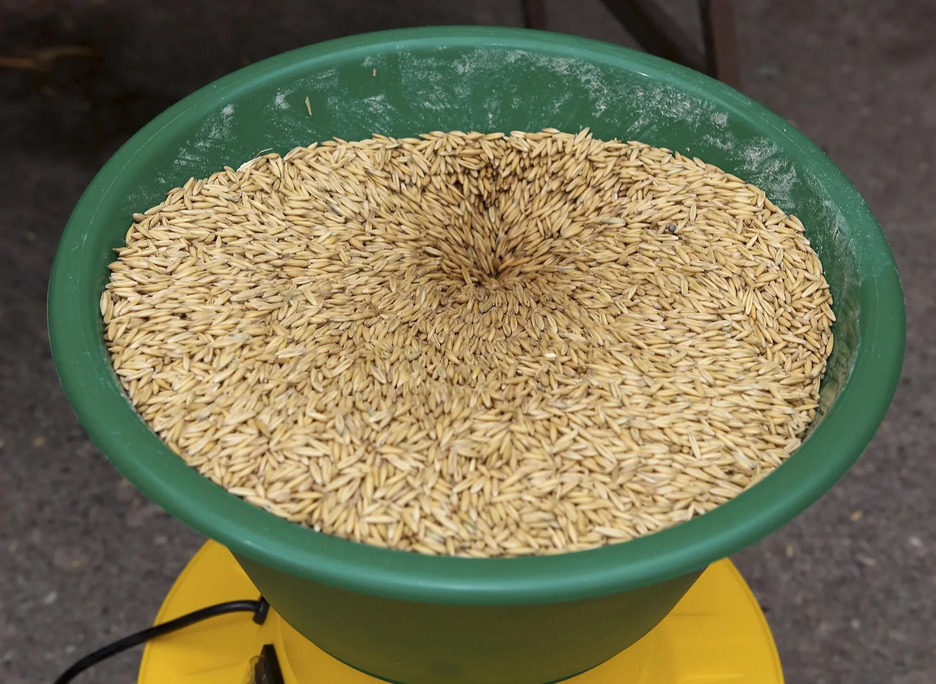 Elektrische Getreidemühle, 600 W, auch für Hülsenfrüchte - 9