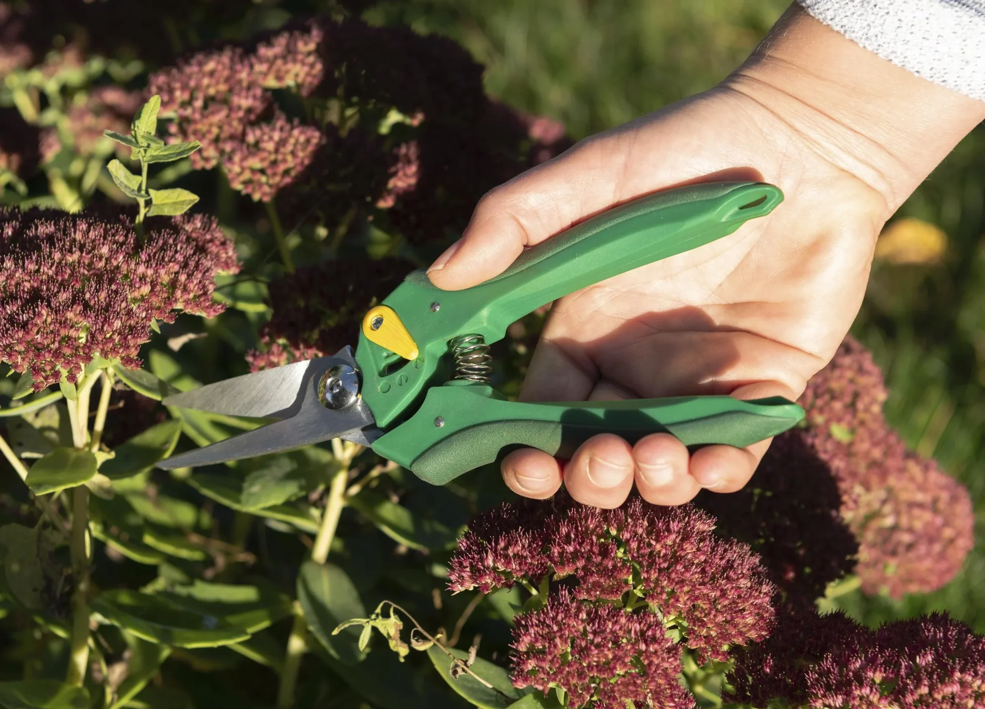 Einhand-Gartenschere, Floristen-Ausführung - 2
