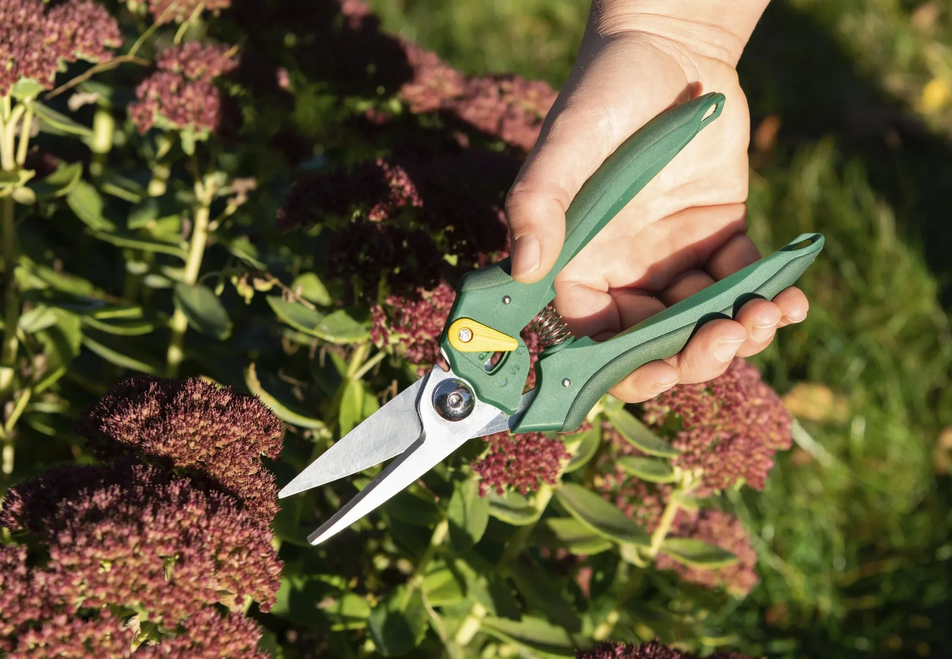 Einhand-Gartenschere, Floristen-Ausführung - 4