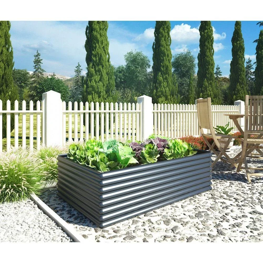 Sinolily Bill C - Holzlagerung - 1