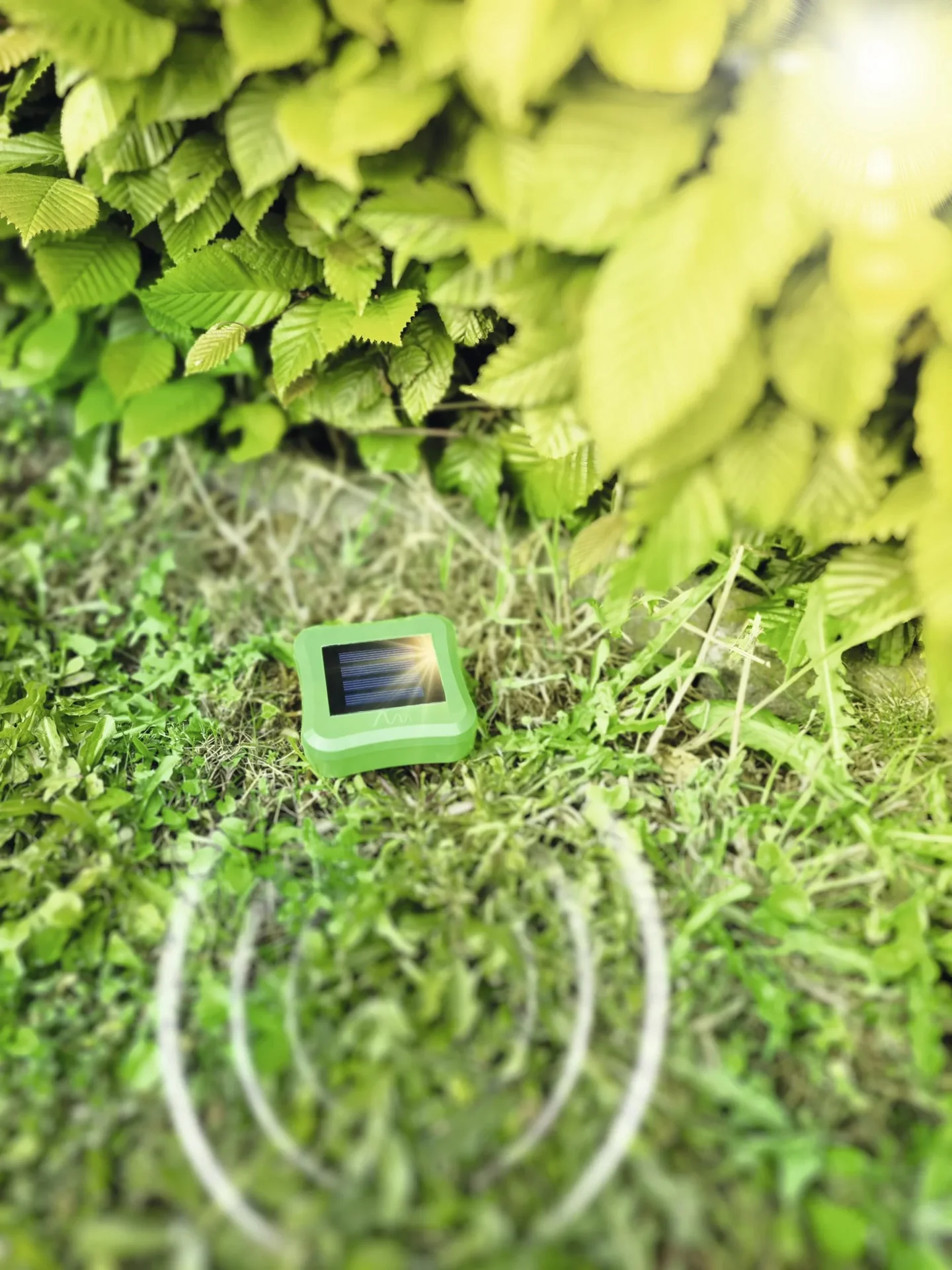 Wühltiervertreiber Solar mit Wechselkopf - 1