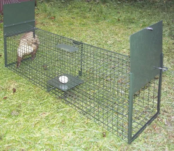 Lebendfalle "2" für Marder, Ratten etc. zwei Eingänge - 103 x 27 x 27 cm - 0