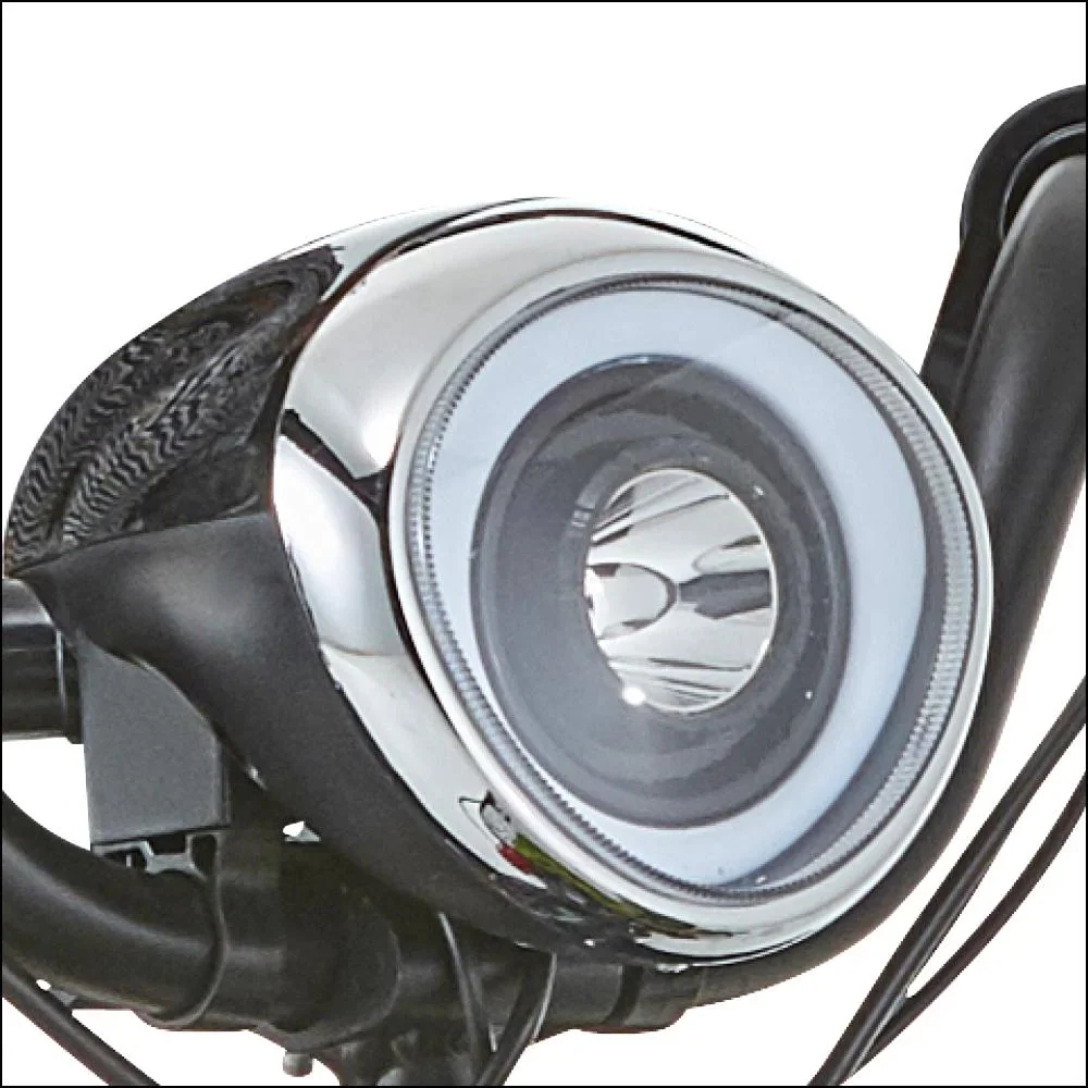 4-Rad E-Mobil Assisi 2.0 6 km/h Basic: 36V/10Ah Li-Ionen, faltbar, blau - 4