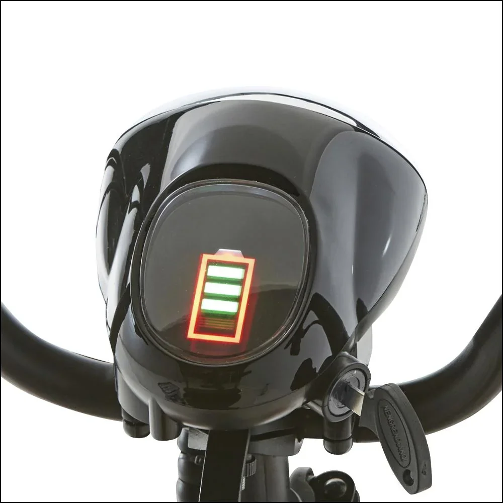 4-Rad E-Mobil Assisi 2.0 6 km/h Basic: 36V/10Ah Li-Ionen, faltbar, blau - 6