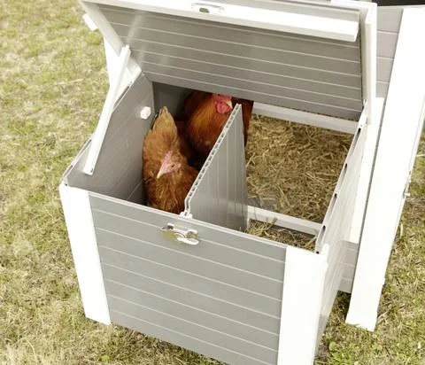 Eco-Kunststoffstall "Barney" für Hühner - UV- und wetterbeständig - 9