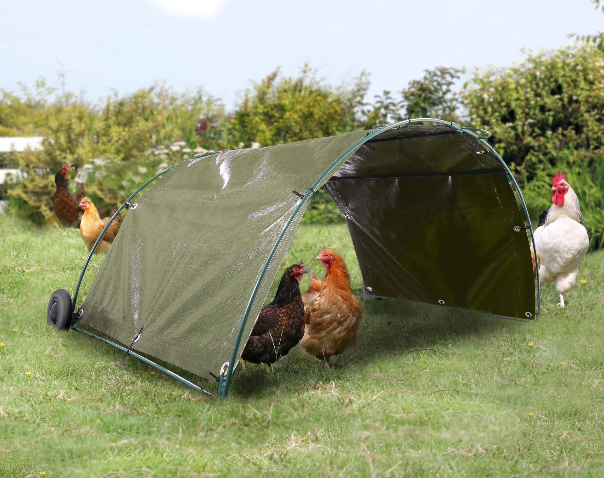 Frühbeet + Hühnertunnel Starter Set - 1