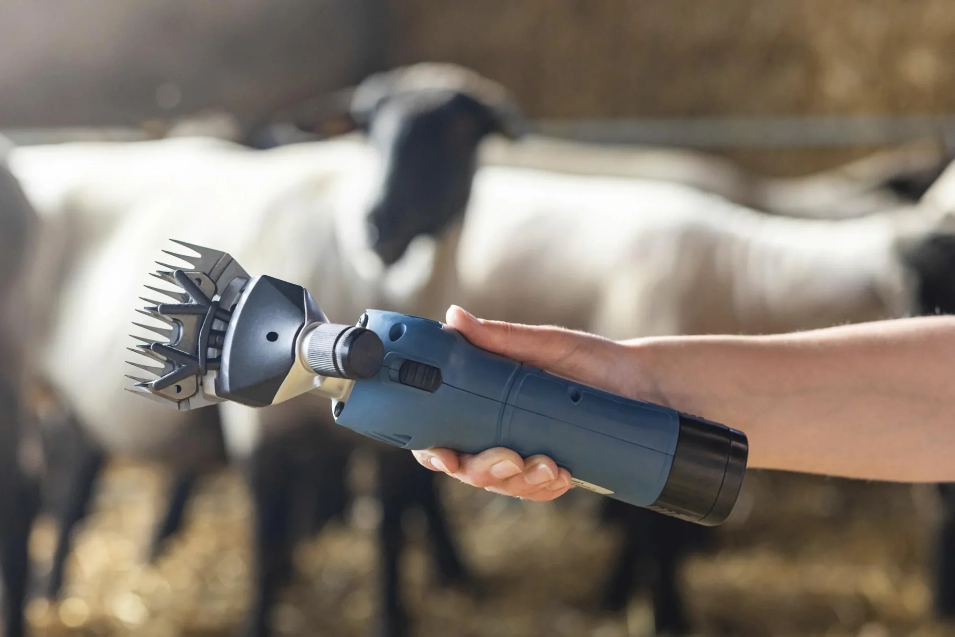 FarmClipper Akku2 für Schafe - 4